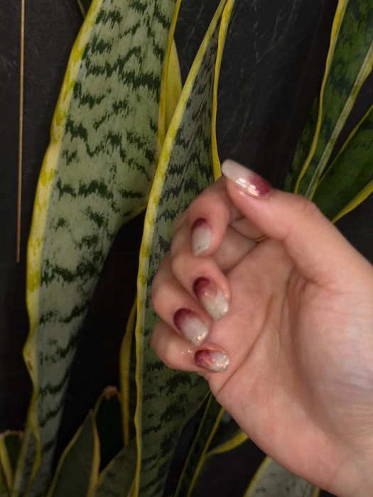 画像569